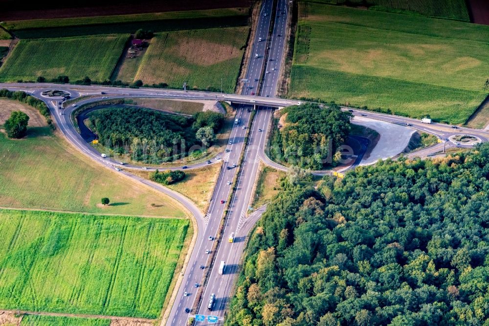 Ringsheim aus der Vogelperspektive: Autobahn- Brückenbauwerk der BAB AA5 bei Ringsheim in Ringsheim im Bundesland Baden-Württemberg, Deutschland