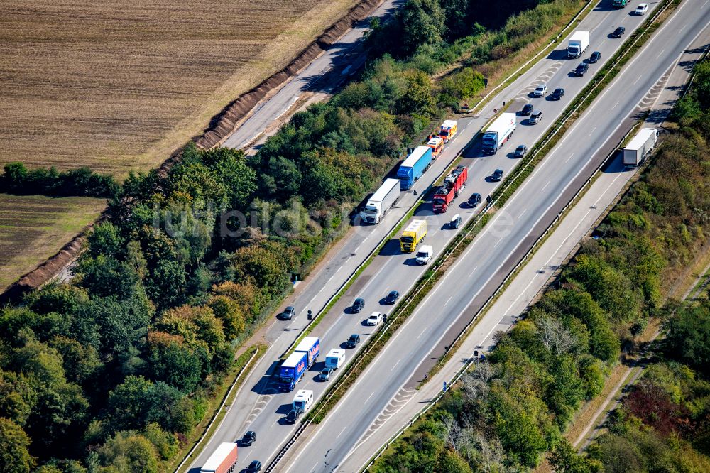 Rade aus der Vogelperspektive: Autobahn- Brückenbauwerk der BAB A7 in Rade im Bundesland Schleswig-Holstein, Deutschland