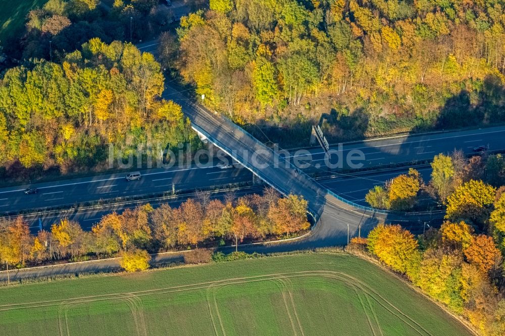 Witten aus der Vogelperspektive: Autobahn- Brückenbauwerk der BAB A44 in Witten im Bundesland Nordrhein-Westfalen