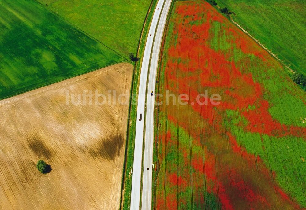 Luftbild Bersteland - Autobahn A13 im Ortsteil Freiwalde in der Gemeinde Bersteland im Bundesland Brandenburg