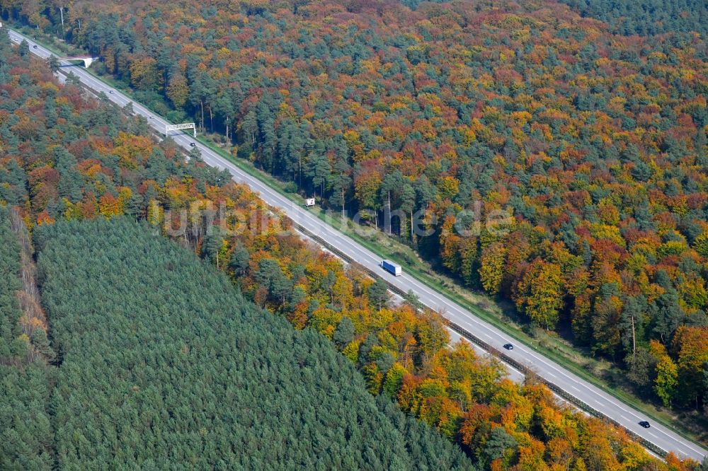 Luftbild Lanke - Autobahn- Streckenverlauf der BAB A14 in herbstlich farbigen Laubwalld - Mischwald in Lanke im Bundesland Brandenburg, Deutschland