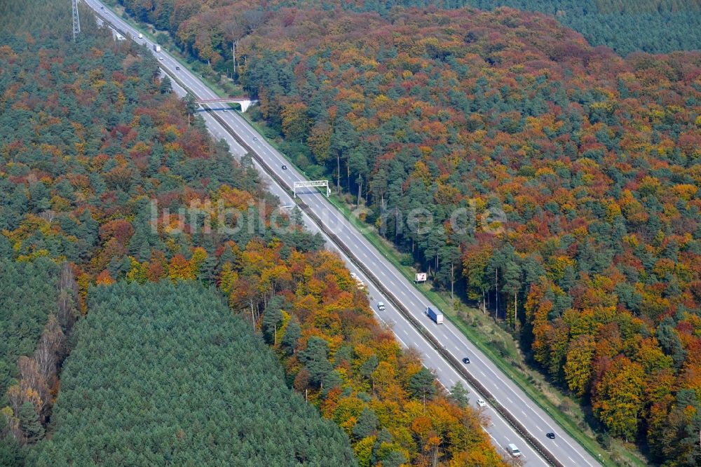 Luftaufnahme Lanke - Autobahn- Streckenverlauf der BAB A14 in herbstlich farbigen Laubwalld - Mischwald in Lanke im Bundesland Brandenburg, Deutschland