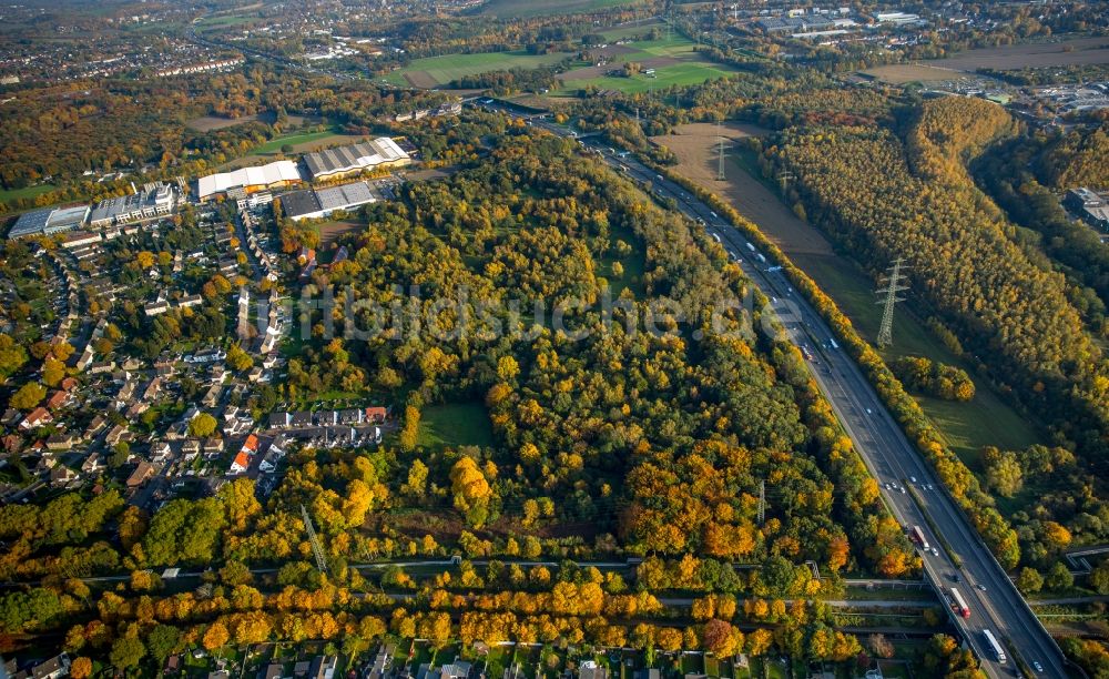 Luftbild Gladbeck - Autobahn- Streckenverlauf der A2 am herbstlichen Naturschutzgebiet Halde Ellinghorst im Südwesten von Gladbeck im Bundesland Nordrhein-Westfalen