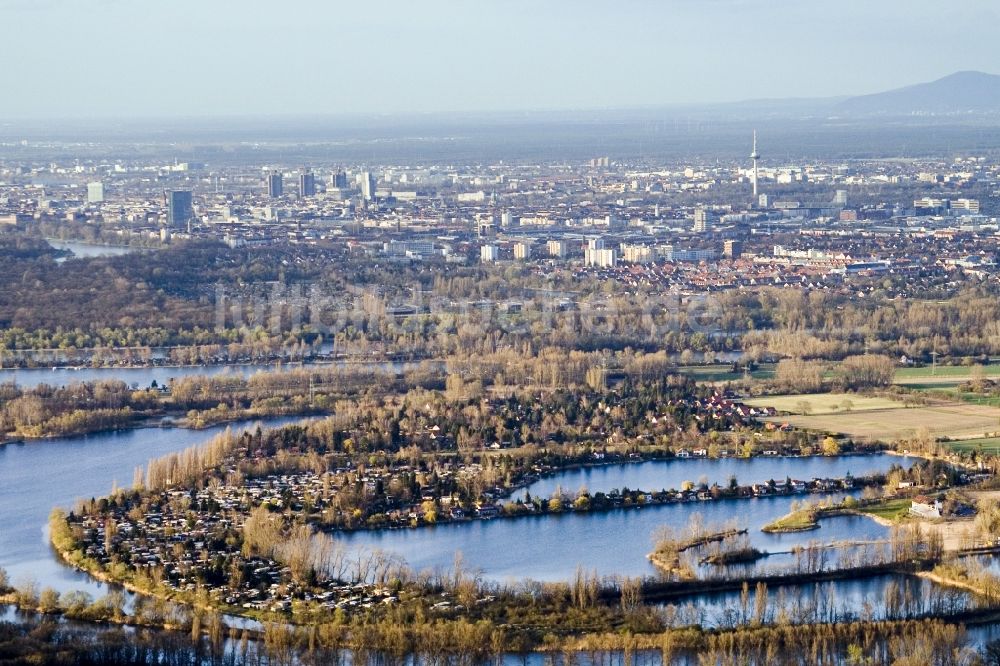 Otterstadt aus der Vogelperspektive: Auwald und Flussverlaufes des Otterstädter Altrhein in Otterstadt im Bundesland Rheinland-Pfalz