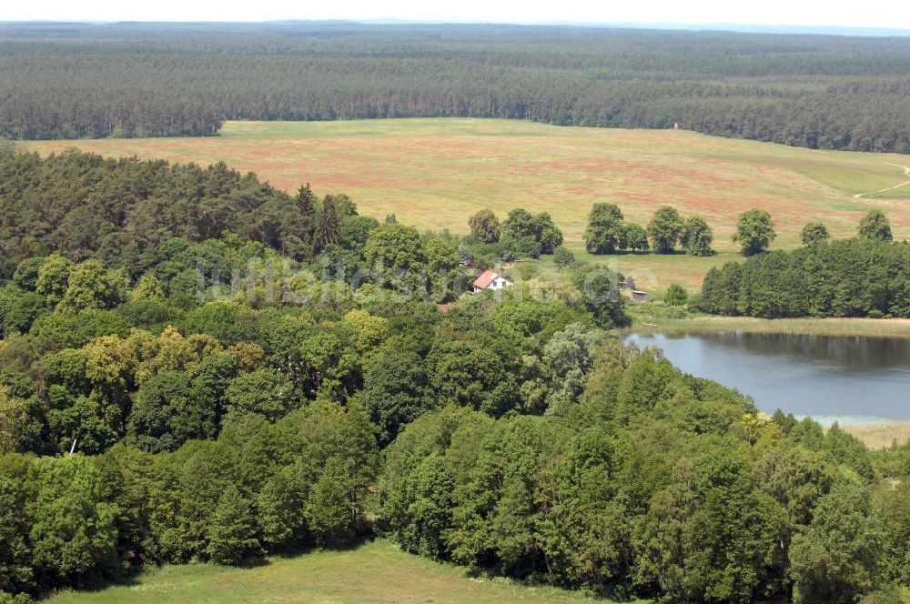 Luftbild Dambeck - AWO SANO Familienferienpark in Dambeck am Müritz-Nationalpark