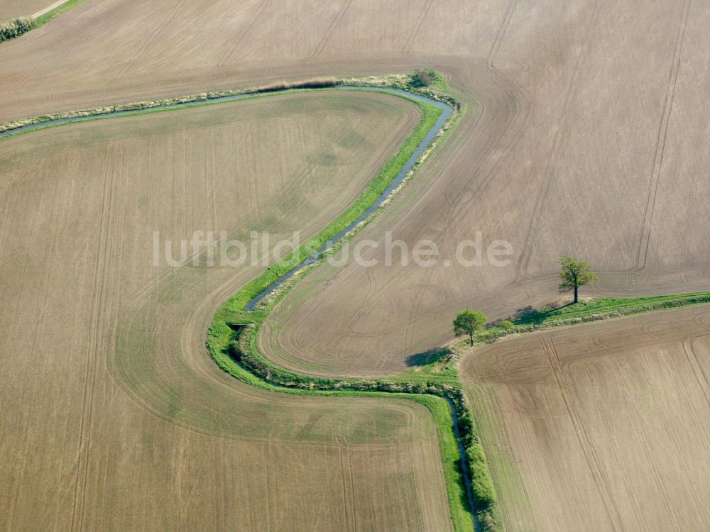 Luftaufnahme Coswig - Bachlauf in den Elbauen bei Coswig