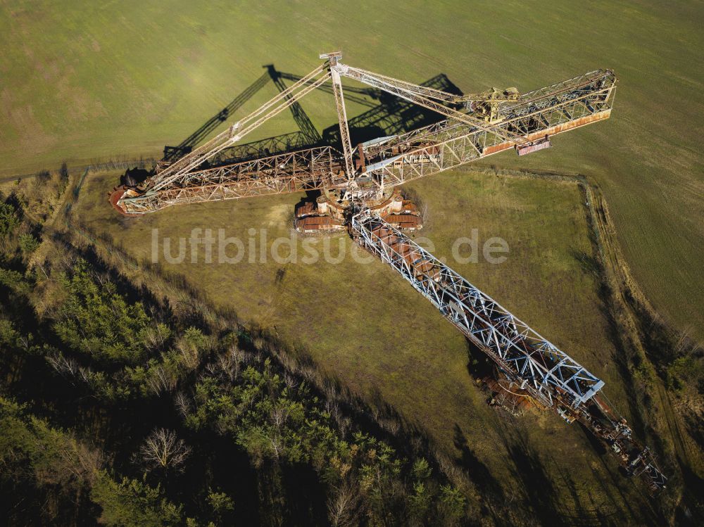 Schipkau von oben - Bagger im ehemaligen Braunkohle - Tagebau im Ortsteil Hörlitz in Schipkau im Bundesland Brandenburg, Deutschland