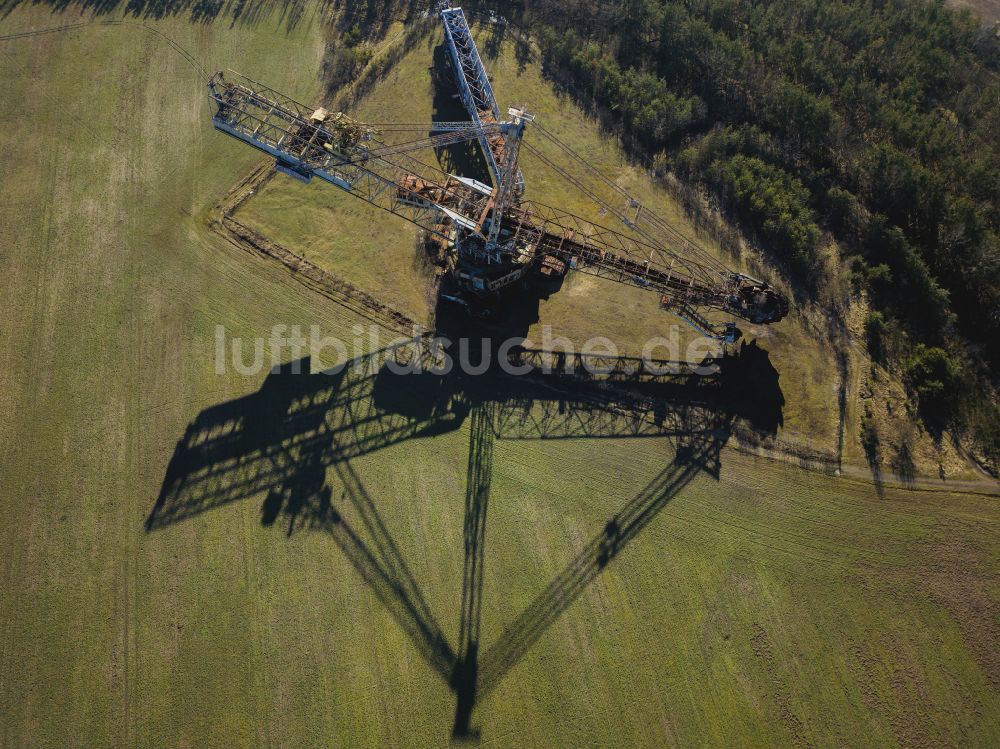 Luftbild Schipkau - Bagger im ehemaligen Braunkohle - Tagebau im Ortsteil Hörlitz in Schipkau im Bundesland Brandenburg, Deutschland