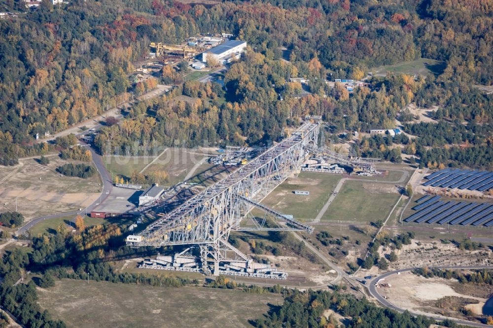 Lichterfeld-Schacksdorf aus der Vogelperspektive: Bagger- Förderbrücke am Besucherbergwerk F60 am Bergheider See in Lichterfeld-Schacksdorf im Bundesland Brandenburg, Deutschland