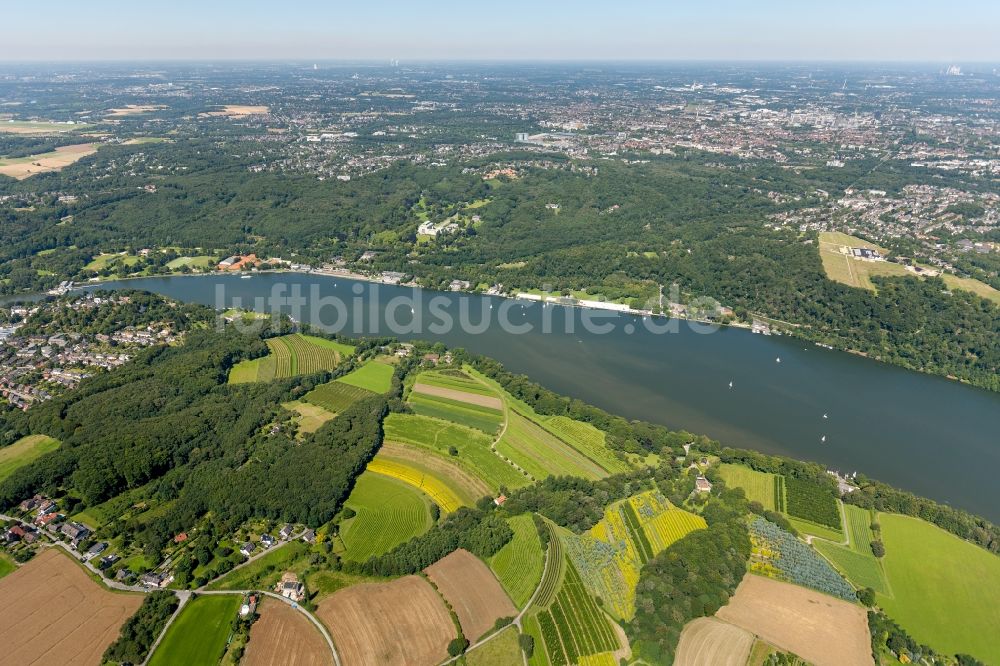 Essen aus der Vogelperspektive: Baldeneysee in Essen im Bndesland Nordrhein-Westfalen NRW