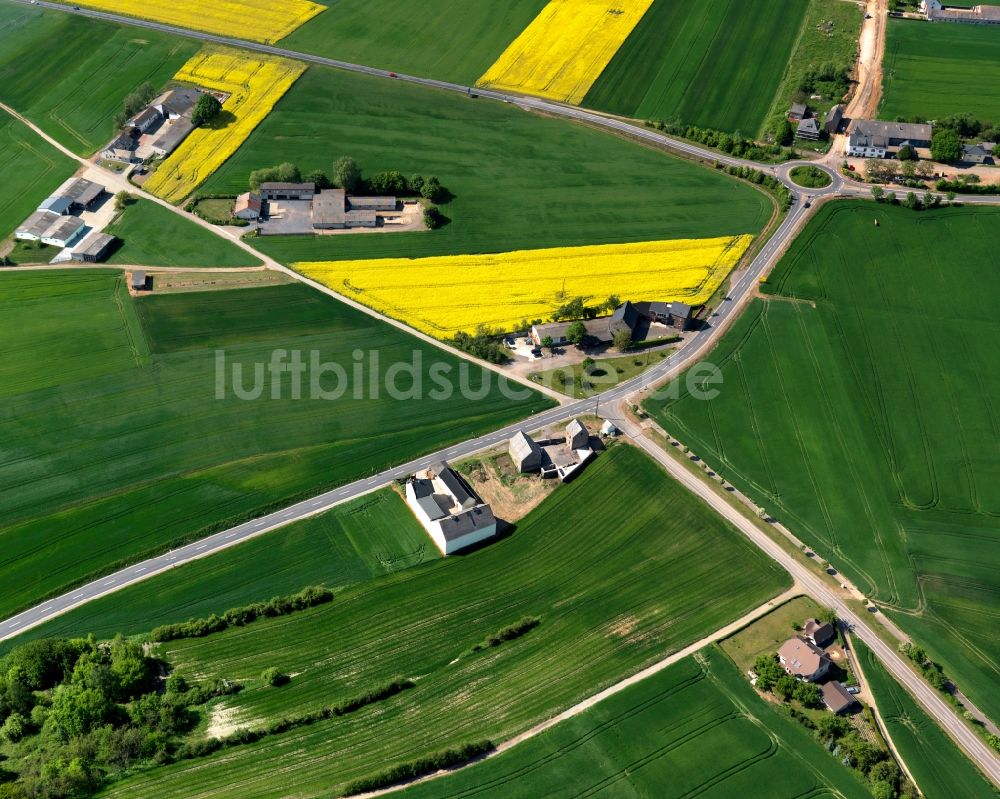 Welling aus der Vogelperspektive: Bauernhöfe in der Ortsgemeinde Welling und Trimbs im Bundesland Rheinland-Pfalz