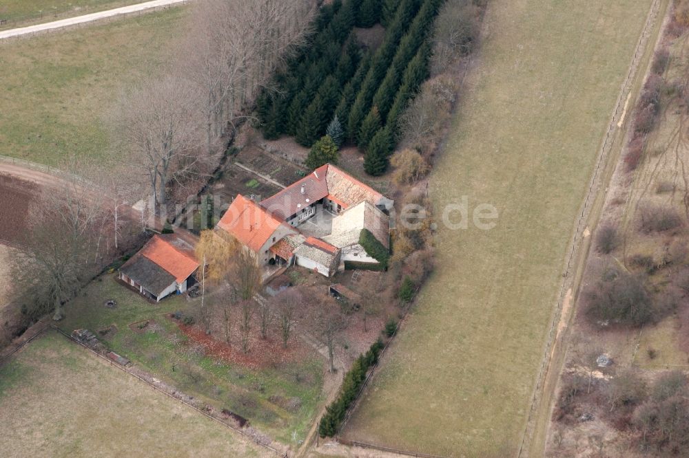 Nieder-Hilbersheim aus der Vogelperspektive: Bauernhof in Nieder-Hilbersheim im Bundesland Rheinland-Pfalz