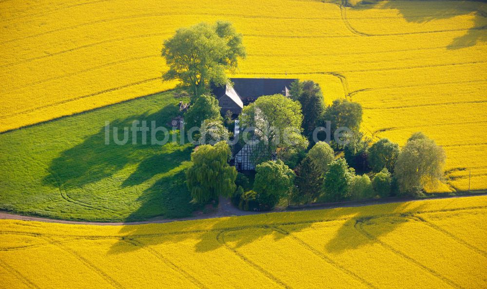 Witten von oben - Bauernhof im Rapsfeld in Witten