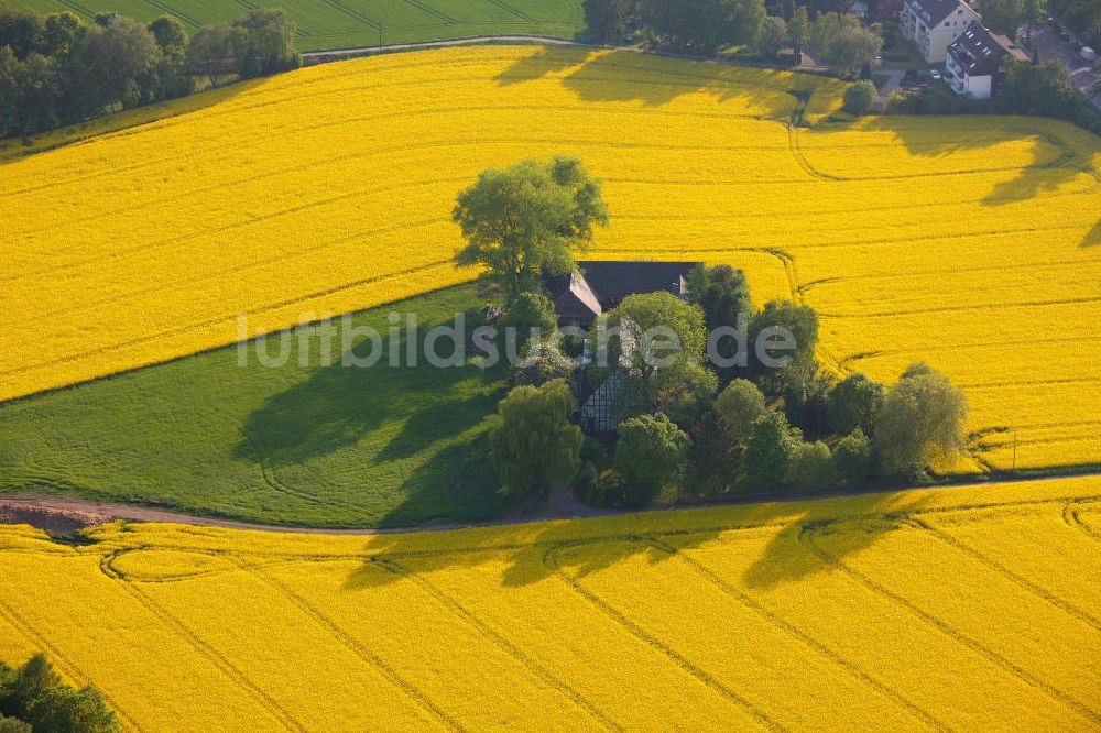 Witten aus der Vogelperspektive: Bauernhof im Rapsfeld in Witten