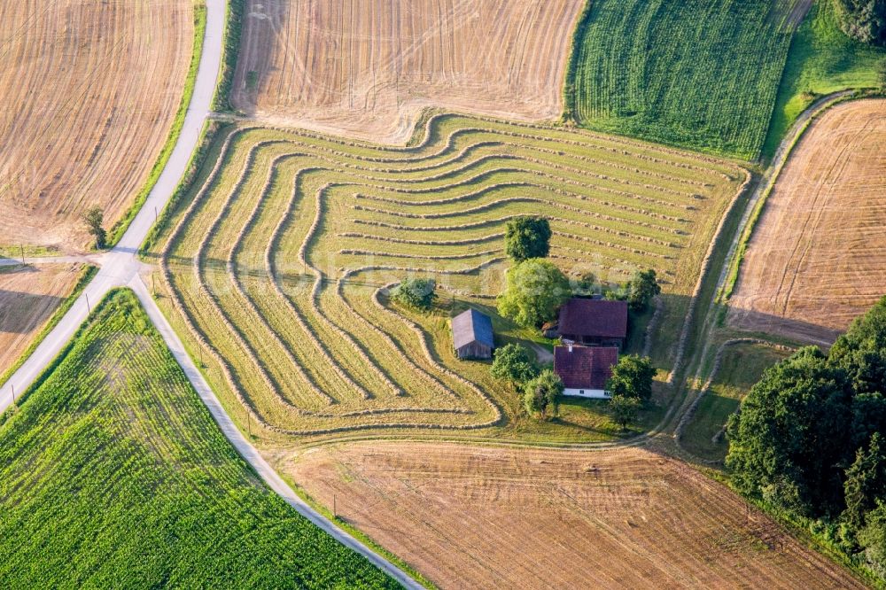 Luftaufnahme Reisbach - Bauernhofes am Rand von gemähten Wiesen Feldern in Reisbach im Bundesland Bayern