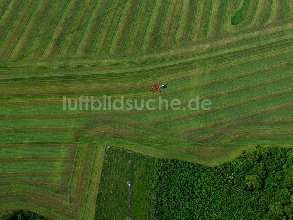 Burg von oben - Baum- und Feldstrukturen bei Burg im Bundesland Brandenburg