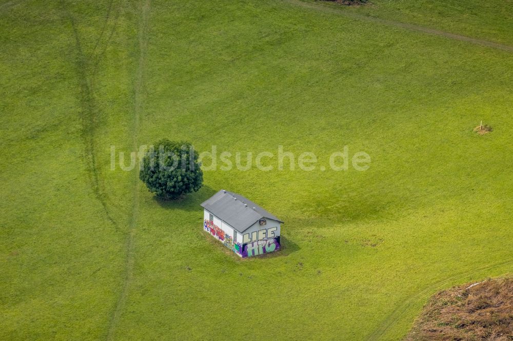 Wetter (Ruhr) aus der Vogelperspektive: Baum und Hütte mit Graffiti auf einer Wiese in Wetter (Ruhr) im Bundesland Nordrhein-Westfalen, Deutschland