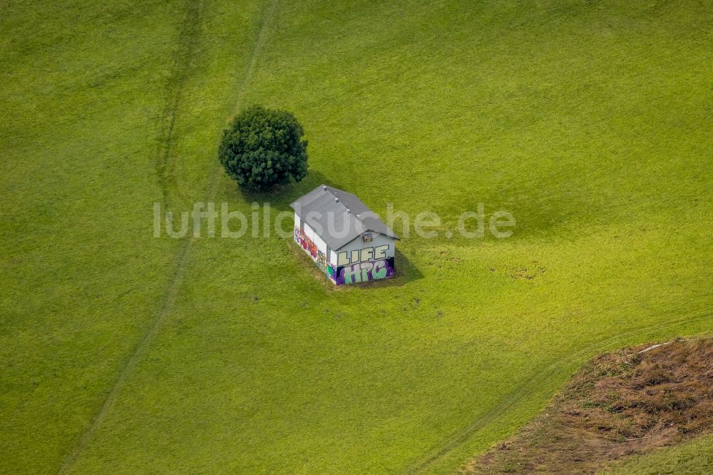 Wetter (Ruhr) von oben - Baum und Hütte mit Graffiti auf einer Wiese in Wetter (Ruhr) im Bundesland Nordrhein-Westfalen, Deutschland