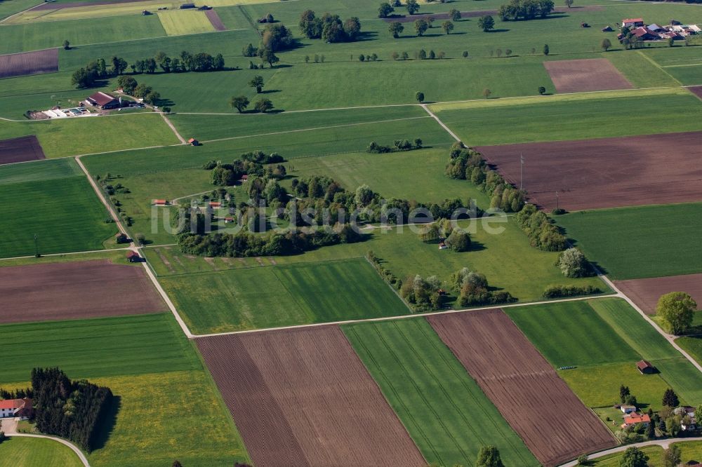 Luftbild Bad Aibling - Baum- Insel auf einem Feld in Bad Aibling im Bundesland Bayern, Deutschland