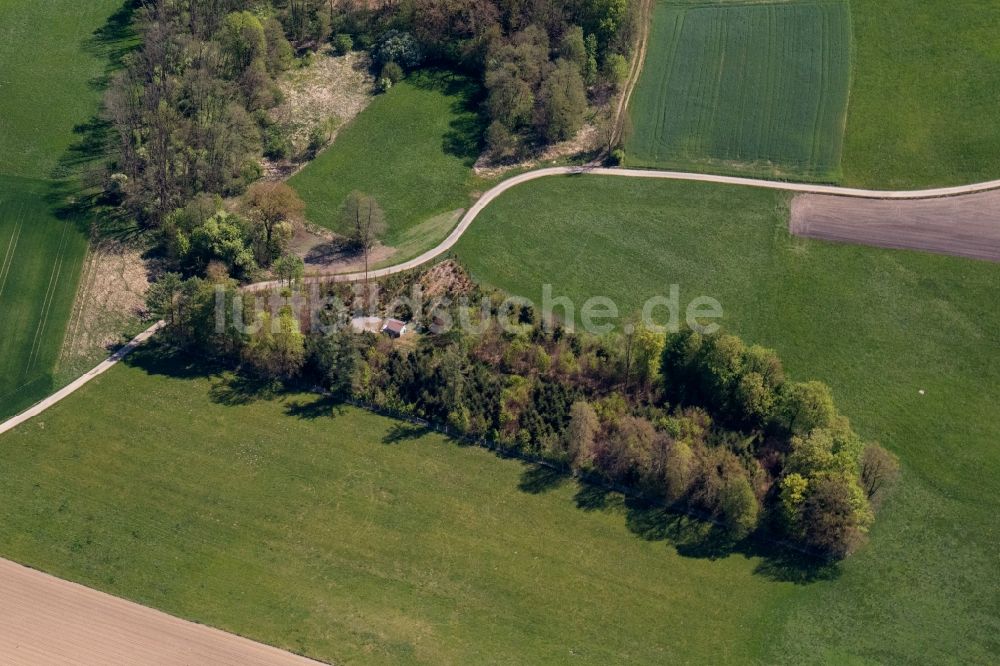 Luftaufnahme Bad Aibling - Baum- Insel auf einem Feld in Bad Aibling im Bundesland Bayern, Deutschland