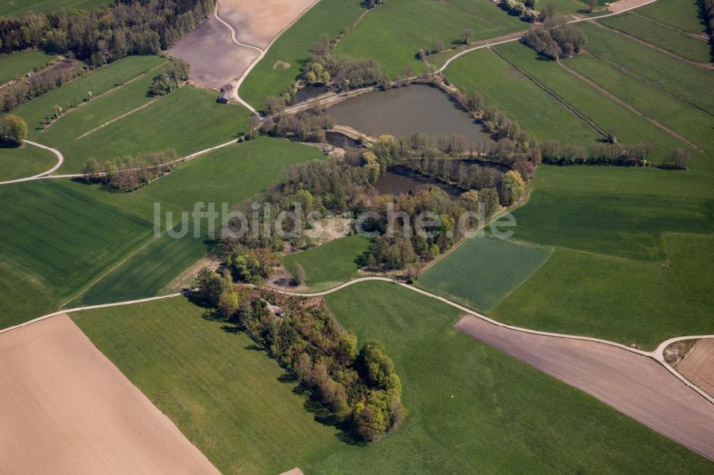 Bad Aibling von oben - Baum- Insel auf einem Feld in Bad Aibling im Bundesland Bayern, Deutschland