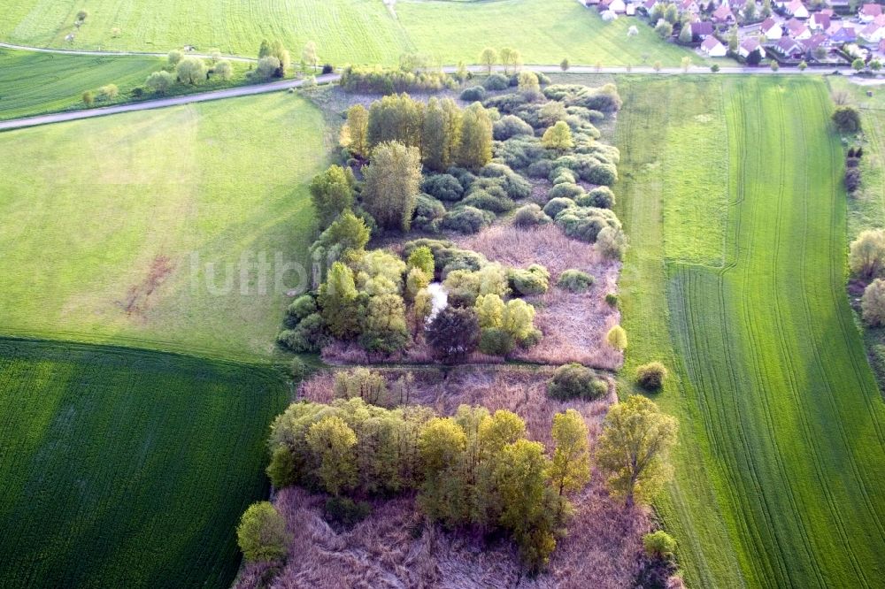 Luftbild Durrenbach - Baum- Insel auf einem Feld in Durrenbach in Grand Est, Frankreich