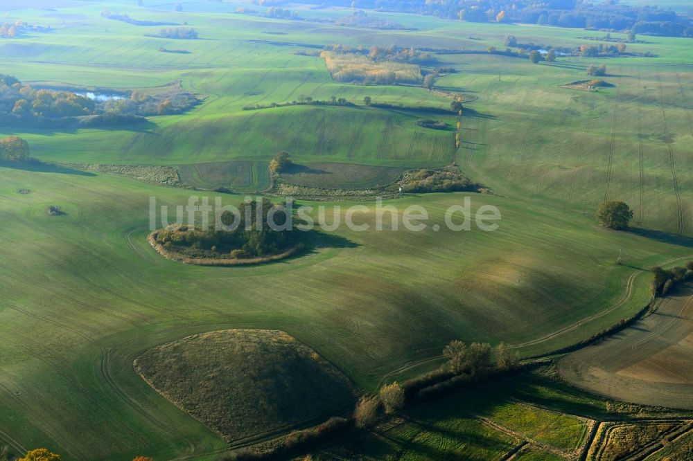 Ehrenhof aus der Vogelperspektive: Baum- Insel auf einem Feld in Ehrenhof im Bundesland Mecklenburg-Vorpommern, Deutschland