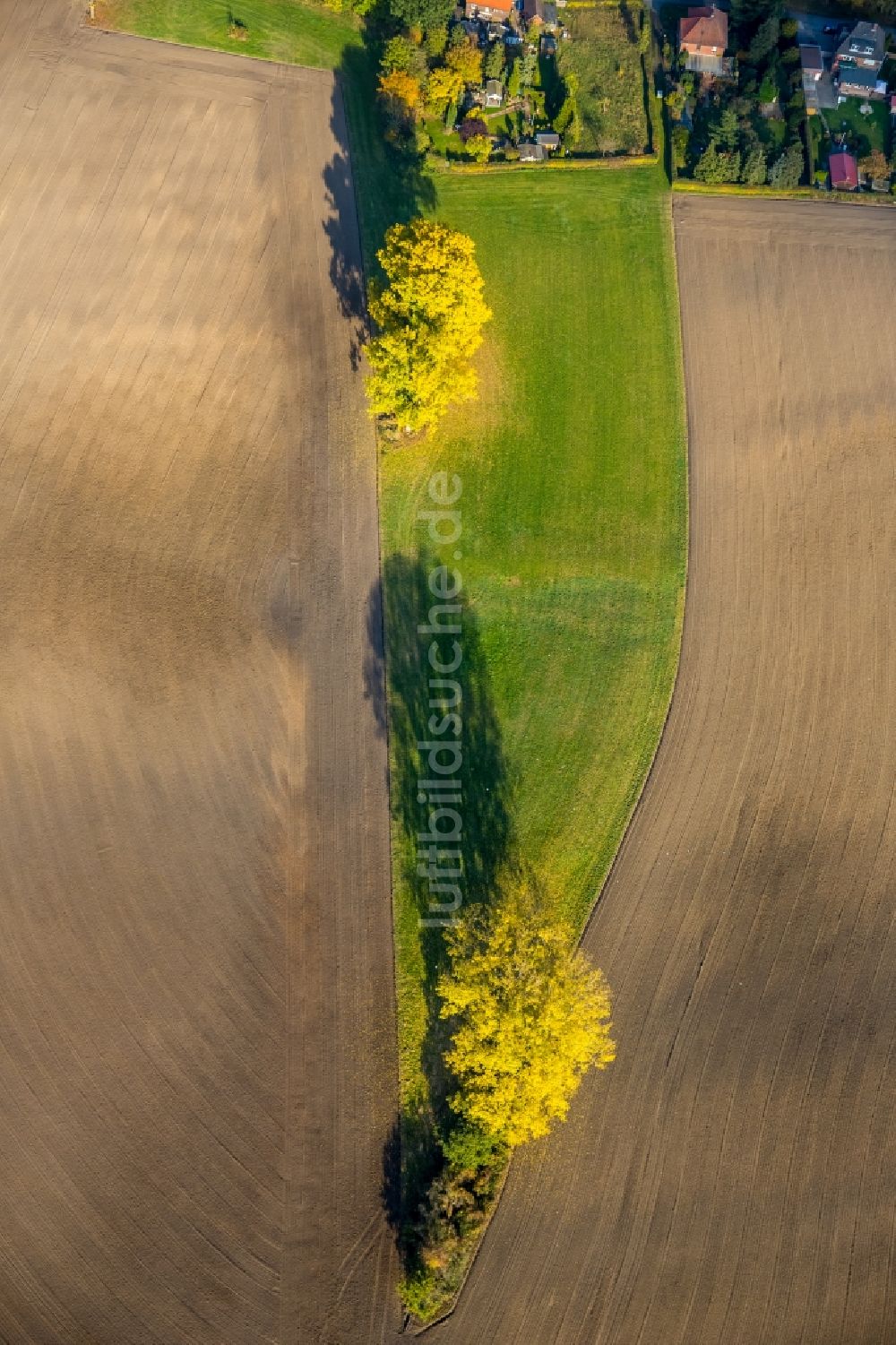 Luftaufnahme Hamm - Baum- Insel auf einem Feld in Hamm im Bundesland Nordrhein-Westfalen