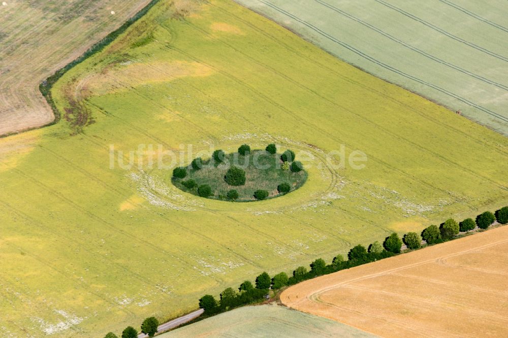 Luftaufnahme Krakow am See - Baum- Insel auf einem Feld in Krakow am See im Bundesland Mecklenburg-Vorpommern, Deutschland