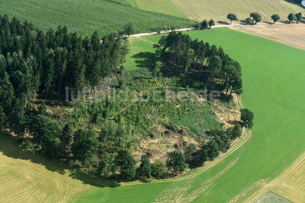 Stollberg/Erzgeb. aus der Vogelperspektive: Baum- Insel auf einem Feld in Stollberg/Erzgeb. im Bundesland Sachsen