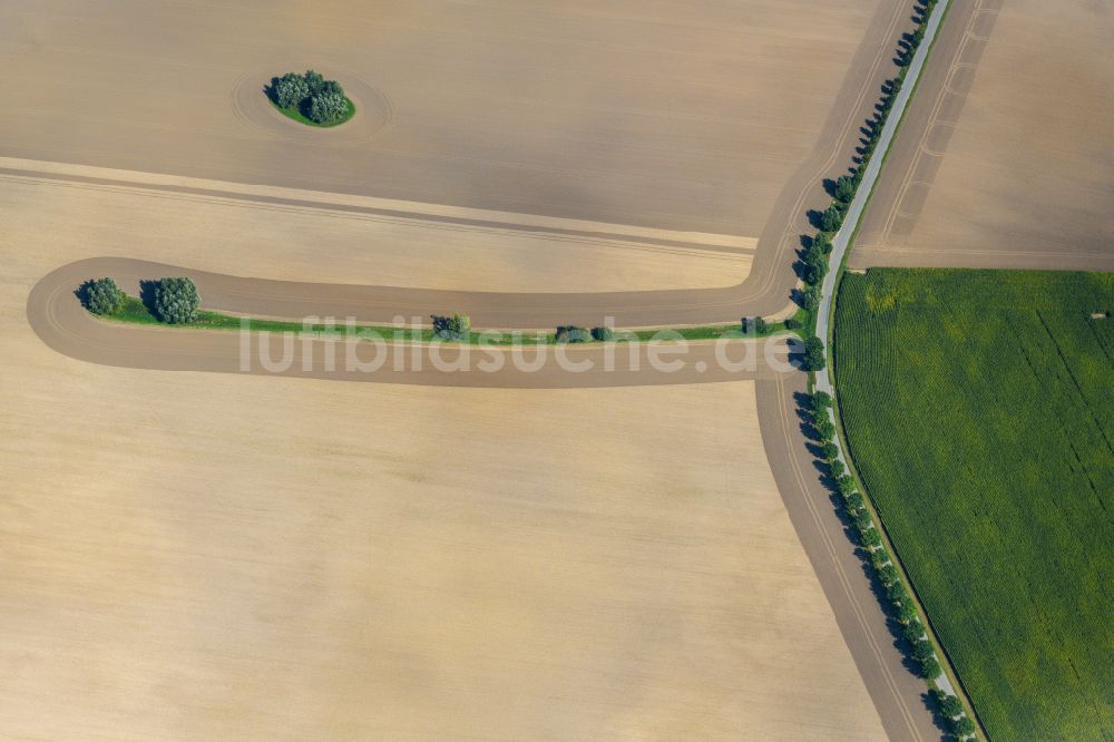 Luftaufnahme Neuenpleen - Baum- Inseln auf einem Feld in Neuenpleen im Bundesland Mecklenburg-Vorpommern, Deutschland