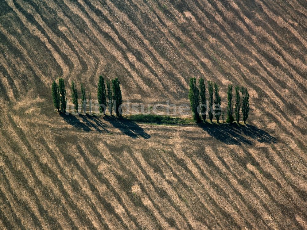 Luftbild Großenhain - Baum - Landschaft mit Feld - Strukturen auf sommerlich , abgeernteten Getreide - Feldern bei Großenhain im Bundesland Sachsen