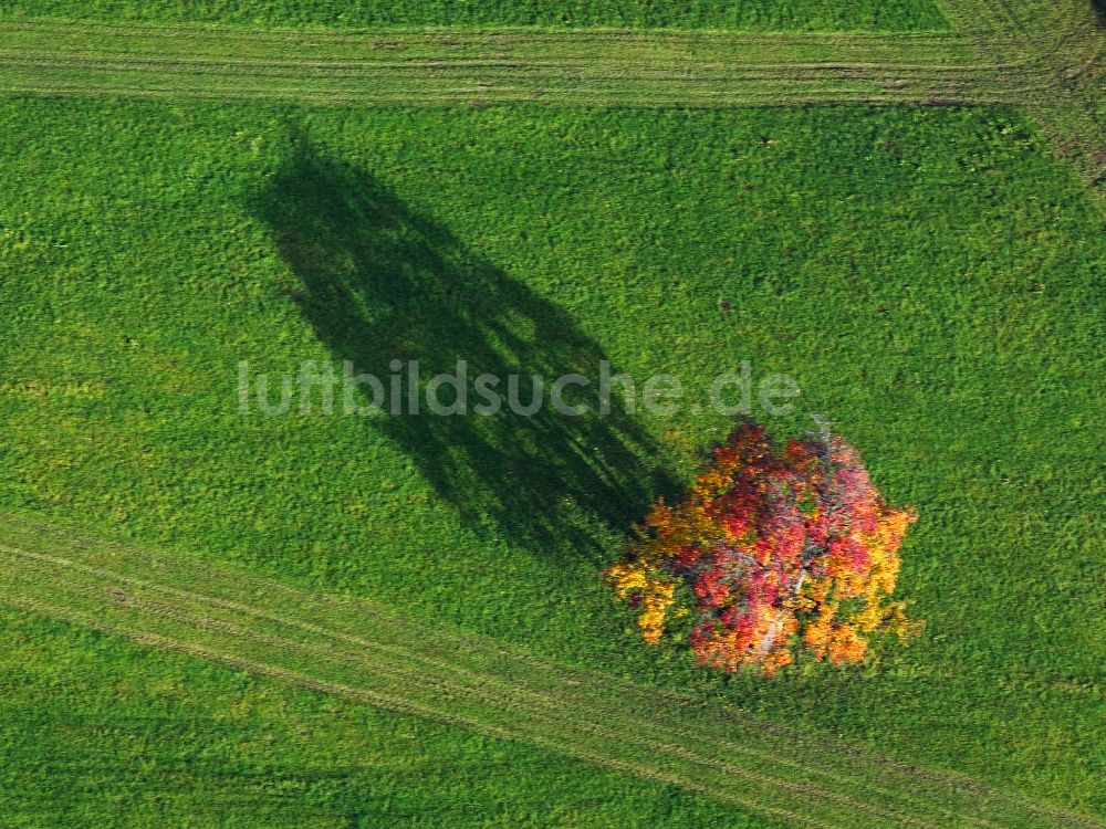 Heilbronn aus der Vogelperspektive: Baum - Landschaft mit Schatten auf sommerlich , abgeernteten Getreide - Feldern bei Heilbronn im Bundesland Baden-Württemberg