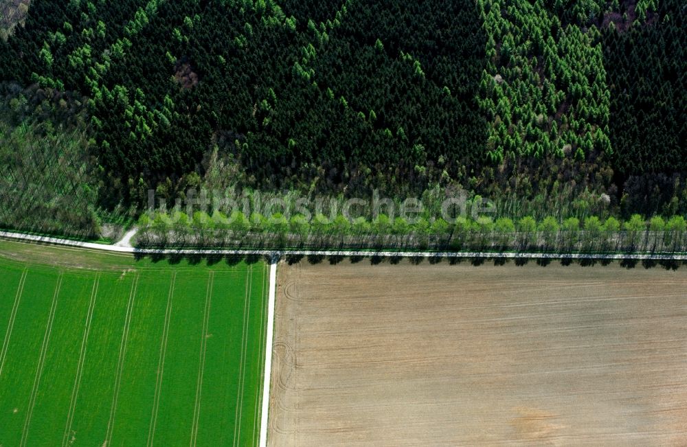 Luftbild Heilbronn - Baum - Landschaft mit Schatten auf sommerlich , abgeernteten Getreide - Feldern bei Heilbronn im Bundesland Baden-Württemberg