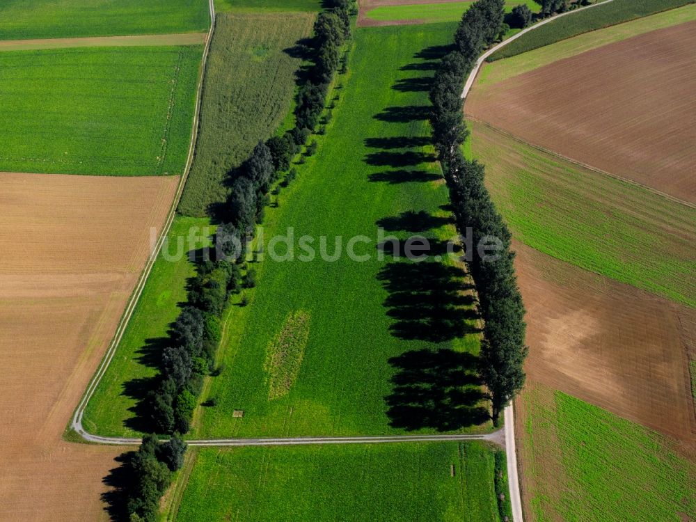 Luftaufnahme Heilbronn - Baum - Landschaft mit Schatten auf sommerlich , abgeernteten Getreide - Feldern bei Heilbronn im Bundesland Baden-Württemberg