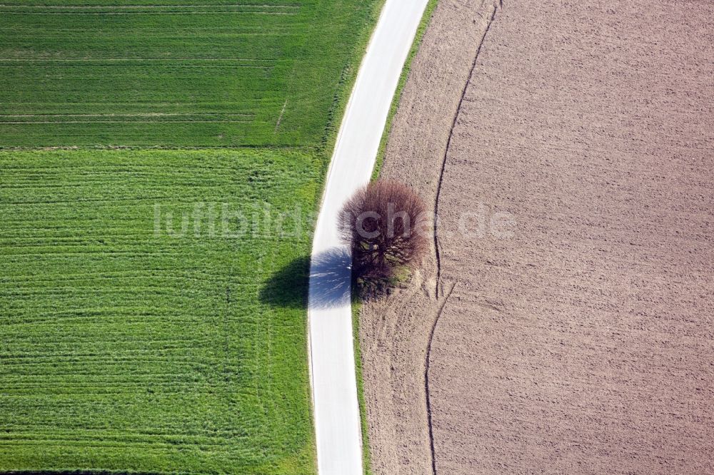 Emmering aus der Vogelperspektive: Baum an einer Landstraße zwischen zwei Feldern in Emmering im Bundesland Bayern