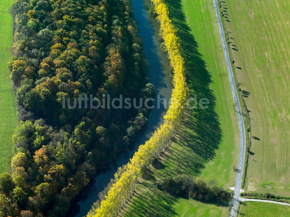 Freitagszella von oben - Baum - Reihen - Landschaft mit Feld - Strukturen entlang dem Ufer des Fluss Werra bei - Feldern bei Freitagszella im Bundesland Thüringen