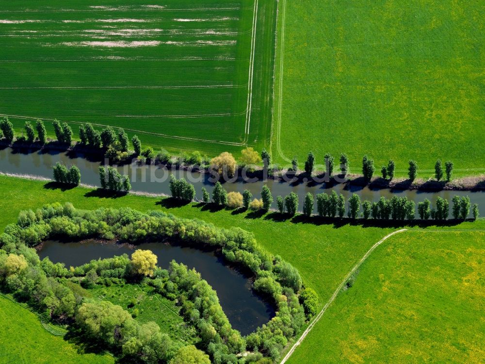 Freitagszella von oben - Baum - Reihen - Landschaft mit Feld - Strukturen entlang dem Ufer des Fluss Werra bei - Feldern bei Freitagszella im Bundesland Thüringen