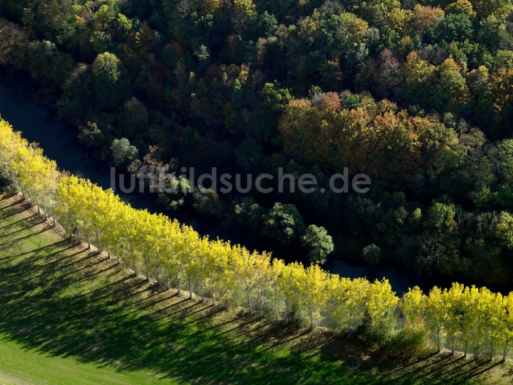 Freitagszella aus der Vogelperspektive: Baum - Reihen - Landschaft mit Feld - Strukturen entlang dem Ufer des Fluss Werra bei - Feldern bei Freitagszella im Bundesland Thüringen