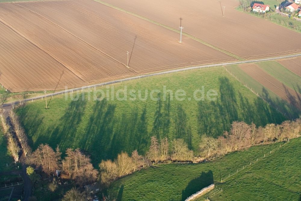 Luftbild Wörth am Rhein - Baum mit Schattenbildung durch Lichteinstrahlung auf einem Feld in Wörth am Rhein im Bundesland Rheinland-Pfalz