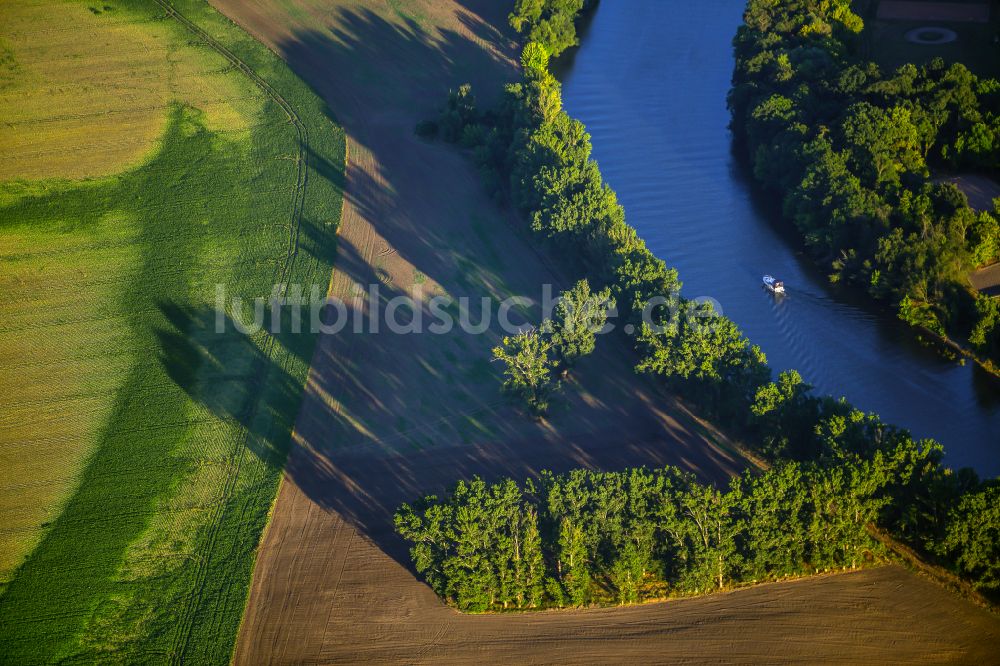 Luftbild Salzmünde - Baum mit Schattenbildung durch Lichteinstrahlung an der Saale in Salzmünde im Bundesland Sachsen-Anhalt, Deutschland