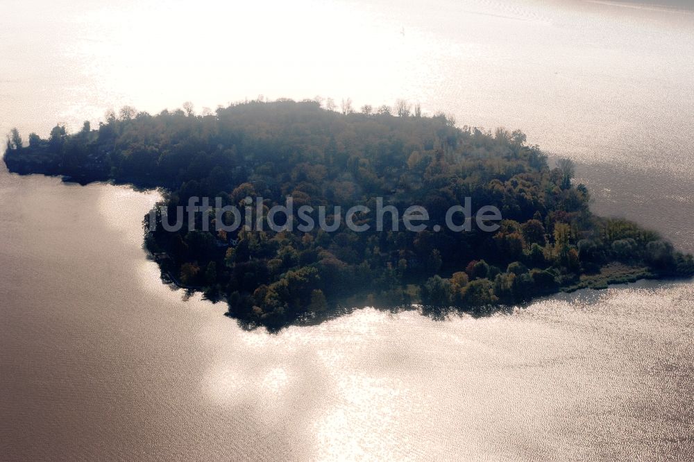 Luftbild Temmen-Ringenwalde - Baum- See- Insel auf dem Libbesickesee in Temmen-Ringenwalde im Bundesland Brandenburg