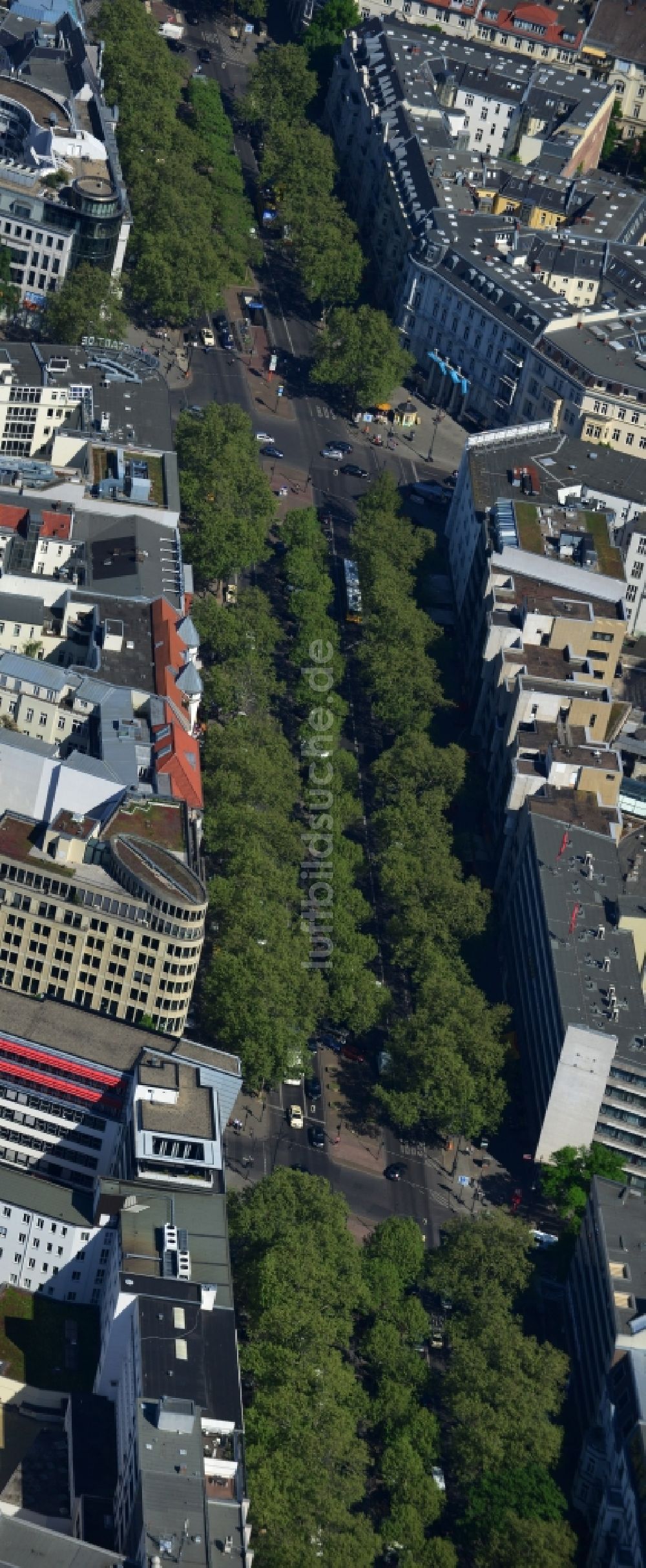 Berlin Wilmersdorf von oben - Baum - Vegetation auf der Allee des Kudamm - Kurfürstendamm in Charlottenburg in Berlin