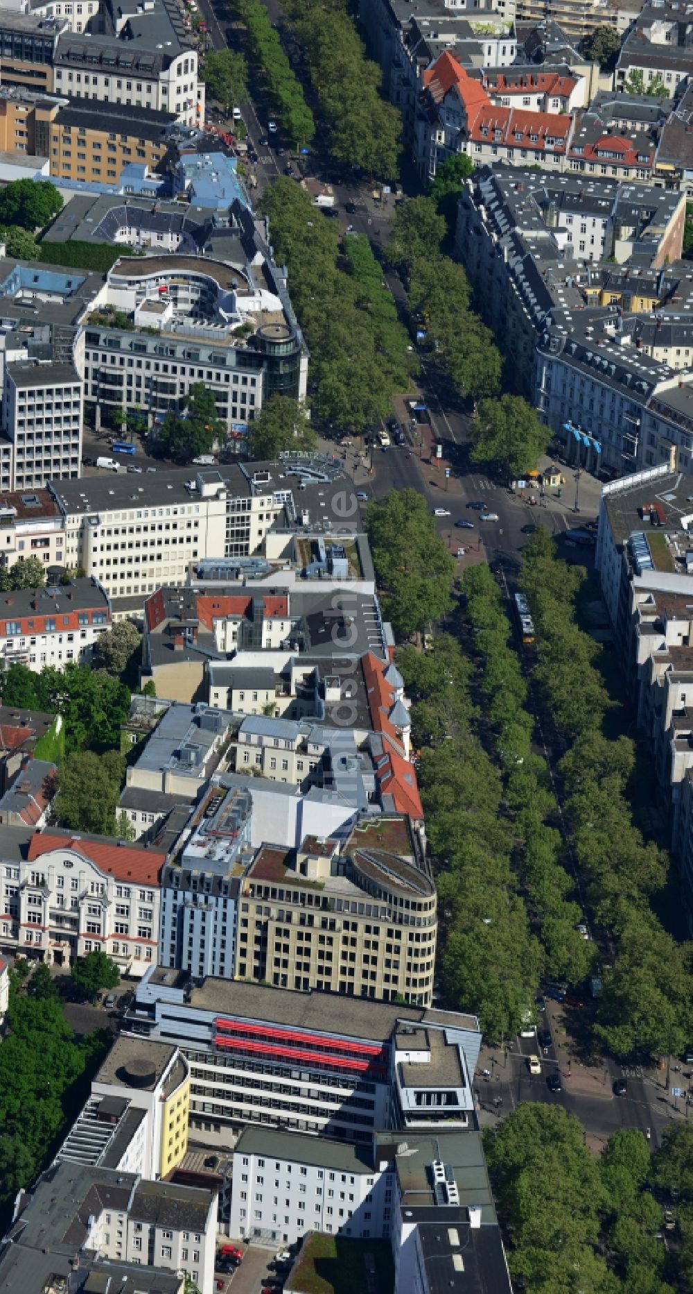 Berlin Wilmersdorf aus der Vogelperspektive: Baum - Vegetation auf der Allee des Kudamm - Kurfürstendamm in Charlottenburg in Berlin