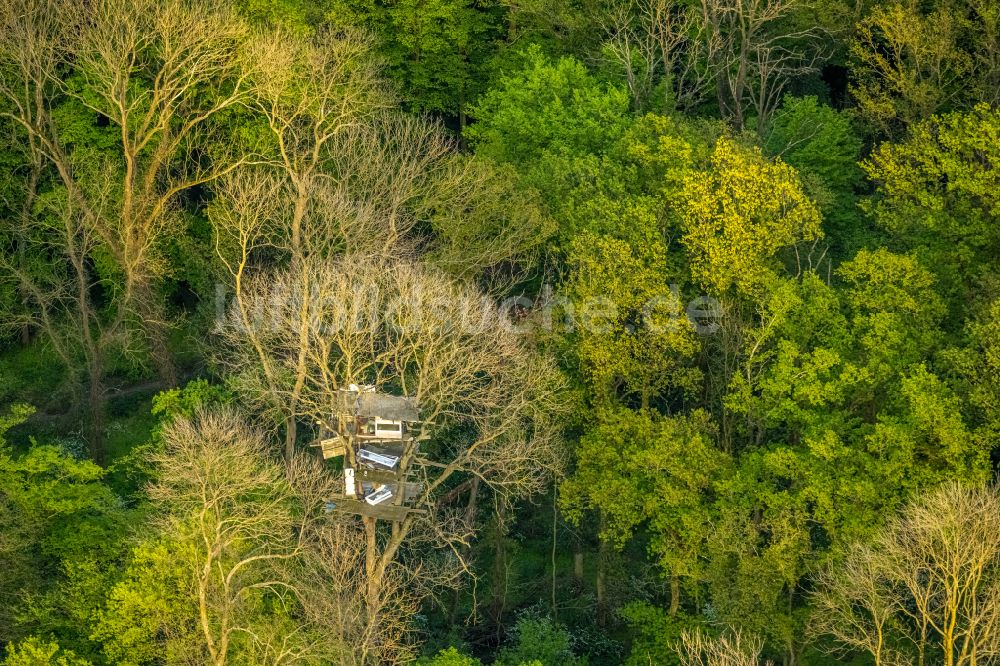 Luftaufnahme Kerpen - Baumhausreste in Laubbaum- Baumspitzen in einem Waldgebiet des Hambacher Forst in Kerpen im Bundesland Nordrhein-Westfalen, Deutschland