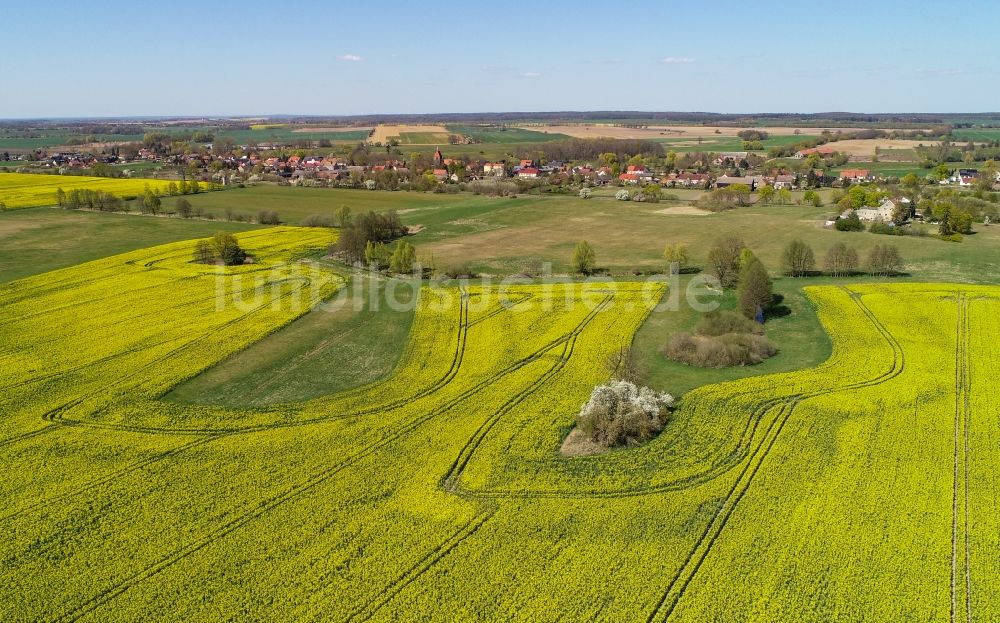 Luftbild Arensdorf - Bauminsel in Feld- Landschaft gelb blühender Raps- Blüten in Arensdorf im Bundesland Brandenburg, Deutschland