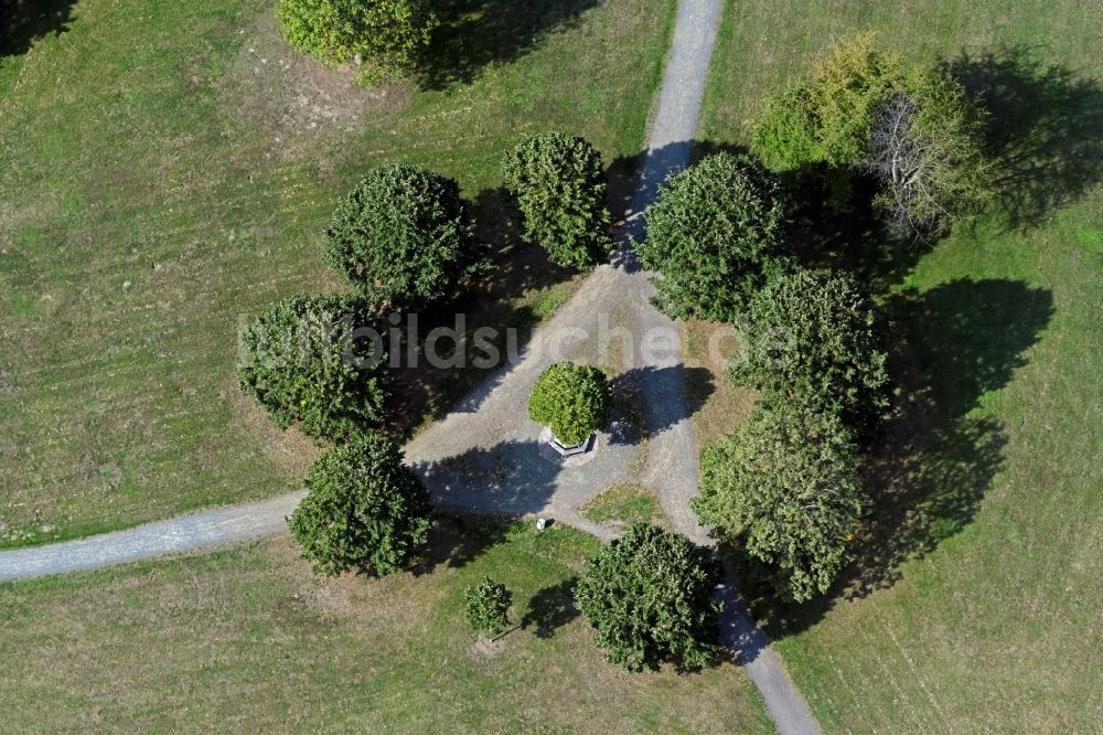 Leipzig von oben - Bauminsel in der Parkanlage Erholungspark Lößnig-Dölitz in Leipzig im Bundesland Sachsen, Deutschland