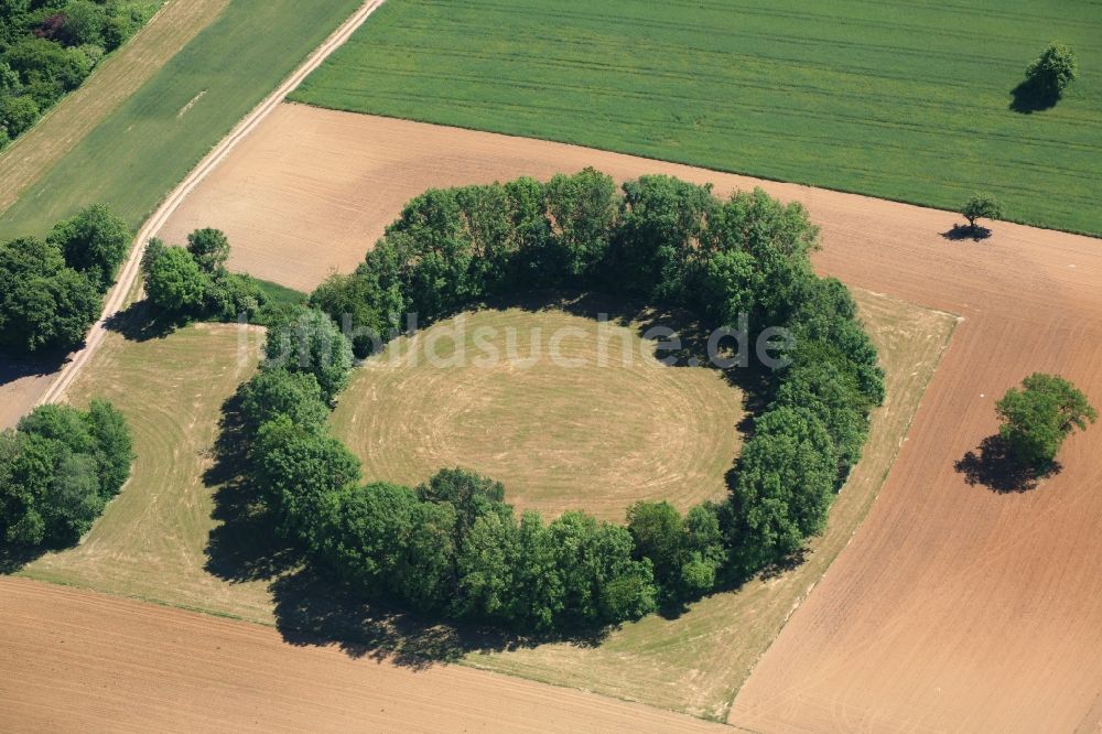 Luftaufnahme Maulburg - Baumkreis bei Maulburg in Baden-Württemberg