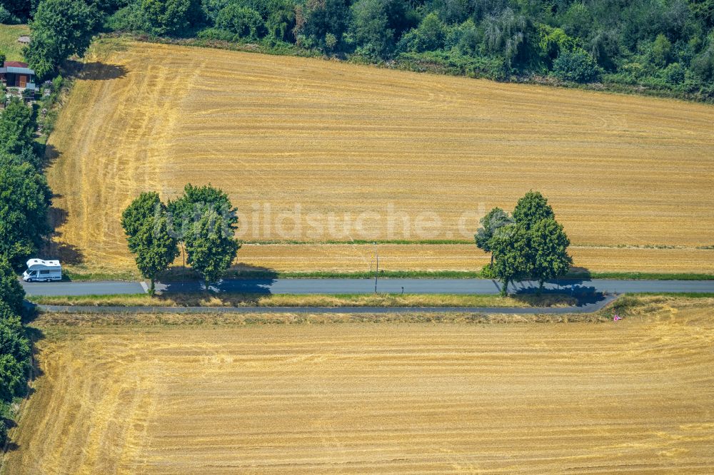 Luftbild Castrop-Rauxel - Baumreihe an einem Feldrand in Castrop-Rauxel im Bundesland Nordrhein-Westfalen, Deutschland