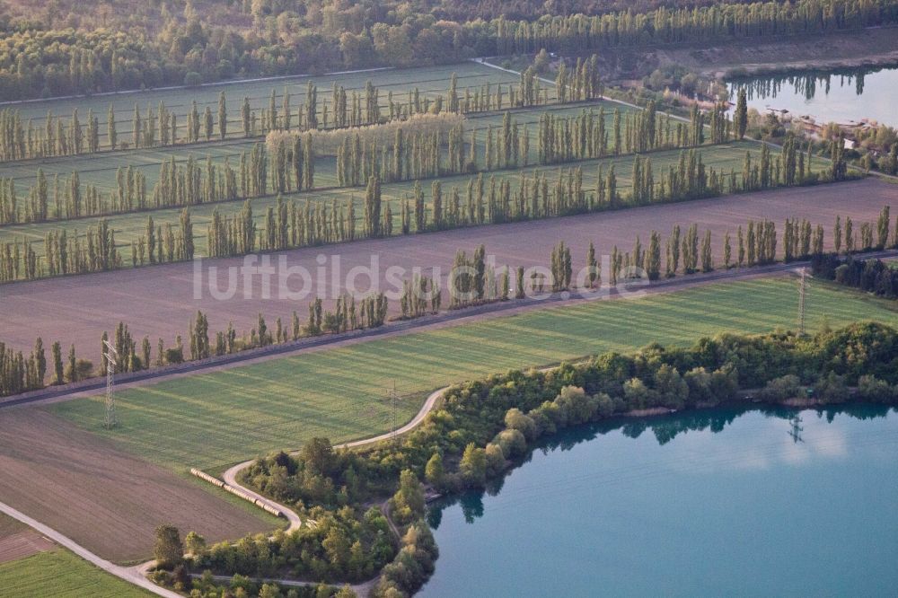 Luftaufnahme Durmersheim - Baumreihe an einem Feldrand in Durmersheim im Bundesland Baden-Württemberg